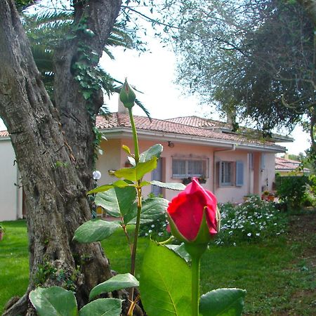 Parco Delle Valli ซัสซารี ภายนอก รูปภาพ