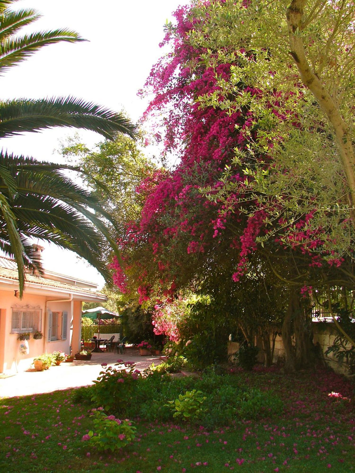 Parco Delle Valli ซัสซารี ภายนอก รูปภาพ